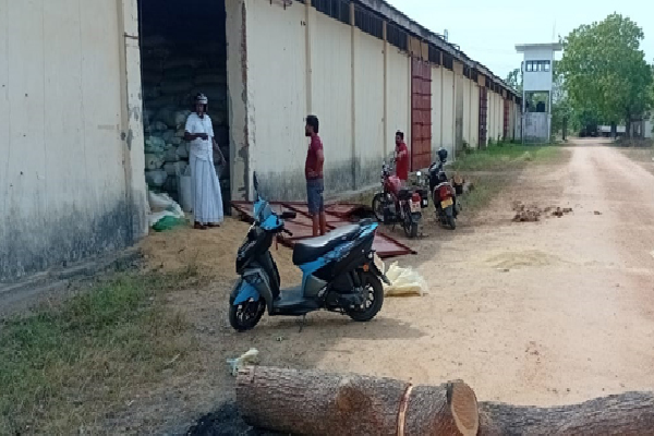 நெல் களஞ்சியசாலைக்குள் புகுந்து பெரும் அட்டகாசம் செய்த காட்டு யானை | Wild Elephant Storms Paddy Warehouse Wrecks