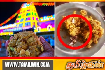 திருப்பதி லட்டில் தொடரும் சர்ச்சை! மறுக்கப்பட்ட குற்றச்சாட்டு