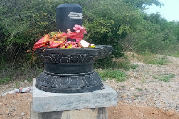 யாழில் திடீரென தோன்றிய சிவலிங்கம்!(Photos) | Shivalingam Suddenly Appeared In Jaffna