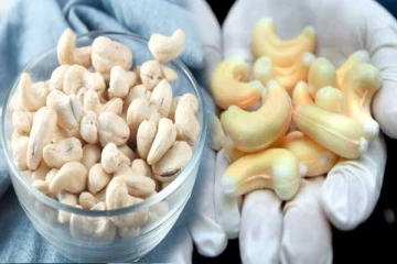 Kitchen Facts: போலியான முந்திரிப் பருப்பை கண்டுபிடிப்பது எப்படி? இனி ஏமாறாதீங்க!