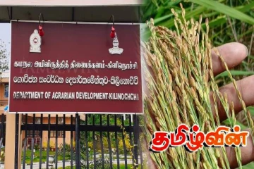 கிளிநொச்சி கமநல சேவை நிலையத்தின் கீழ் உள்ள அமைப்புகளுக்கு புதிய நிர்வாகம் தேவை!