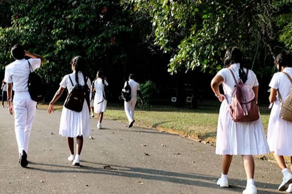 க.பொ.த சாதாரண தர பரீட்சைக்கு சென்ற மாணவிக்கு நேர்ந்த விபரீதம் | School Student Bitten By A Dog