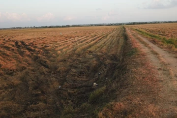 கந்தளாய் பள்ளிவாசல் வயல் காணி செய்கை இடைநிறுத்தம்: தனிநபர்களின் தலையீட்டால் நஷ்டம் ஏற்படும் அபாயம்