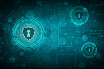 இலங்கை அரசாங்க இணையத்தளங்கள் மீது சைபர் தாக்குதல்