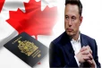 எலான் மஸ்க்கின் கனேடிய குடியுரிமைக்கு ஆபத்து: ஒன்று திரண்ட கனடா மக்கள்