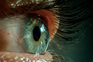 5 பேர் மட்டுமே பார்த்துள்ள புதிய நிறம் கண்டுபிடிப்பு - விஞ்ஞானிகள் ஆச்சர்ய தகவல்