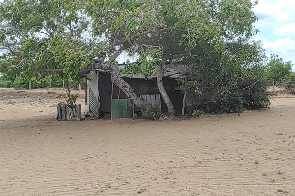 முள்ளிவாய்க்கால் நினைவு முற்றத்தில் குவிக்கப்பட்டுள்ள புலனாய்வாளர்கள்- அச்சுறுத்தப்படும் மக்கள்! - ஐபிசி தமிழ்