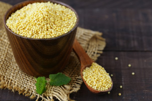 உயிரை பறிக்கும் மாரடைப்பை நெருங்க விடாமல் தடுக்க இந்த ஒரே ஒரு பொருளை சாப்பிட்டா போதுமாம்! | Foxtail Millet Kangni Protein Is Good For Heart