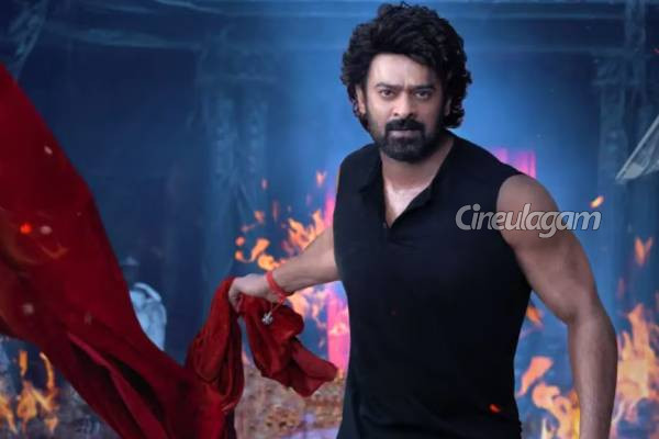 இன்று பிறந்தநாள் கொண்டாடும் நடிகர் பிரபாஸின் டாப் படங்கள் என்னென்ன?.. லிஸ்ட் இதோ! | Prabhas Best Movie List On Special Of His Birthday