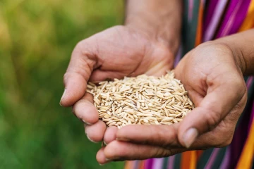 4  முதல் 5 மில்லியன் இலங்கையர்களுக்கு ஏற்படவுள்ள நெருக்கடி ; பிரதமர் விடுத்த பணிப்புரை
