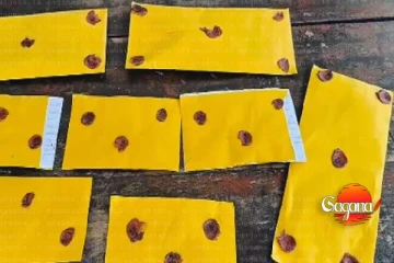 අයිස් බෙදූ 7 ක් කොටු