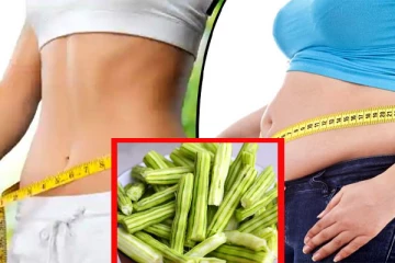 ஒரே வாரத்தில் உடல் எடையை குறைக்கும் முருங்கைக்காய்; எப்படி தெரியுமா?