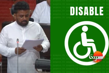 රජයේ සේවය සඳහා සියයට තුනක් ආබාධ සහිත ප්‍රජාව