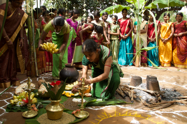 நாளை பொங்கல் வைக்க நல்ல நேரம் இதுதான்! | Auspicious Time To Prepare Thai Pongal 2026