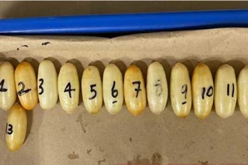 ගුලි 17ක් බඩේ..වටිනාකම රුපියල් මිලියන 12ක්..