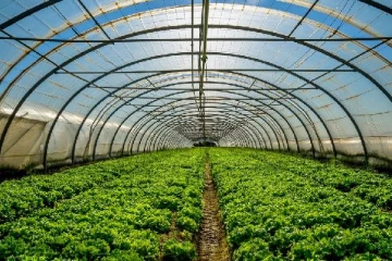 லட்சக்கணக்கில் சம்பளத்தை உதறிவிட்டு விவசாயம் செய்த நபர்! இப்போது வருமானம் கோடிகளில்