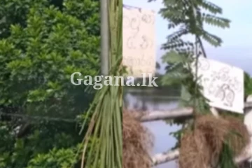 තණකොළ එල්ලලා පෙන්නපු විරෝධයට මොකද වුණේ?. හැමතැනම තණකොළ.. (VIDEO/PHOTOS)