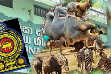 மிருகக்காட்சிசாலை கட்டணங்கள் தொடர்பாக வெளியான தகவல்