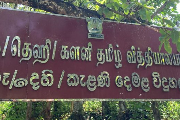 திடீரென மயக்கமுற்ற பாடசாலை மாணவர்களால் பரபரப்பு! | Kegala Sudden School Students Became Agitated