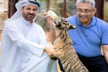 புலிக்கு பாலூட்டிய கோட்டாபய நாடு திரும்பினார் !(PHotos)