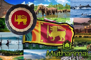 சுற்றுலாத்துறையின் வளர்ச்சி : வெளியான மத்திய வங்கியின் தரவு