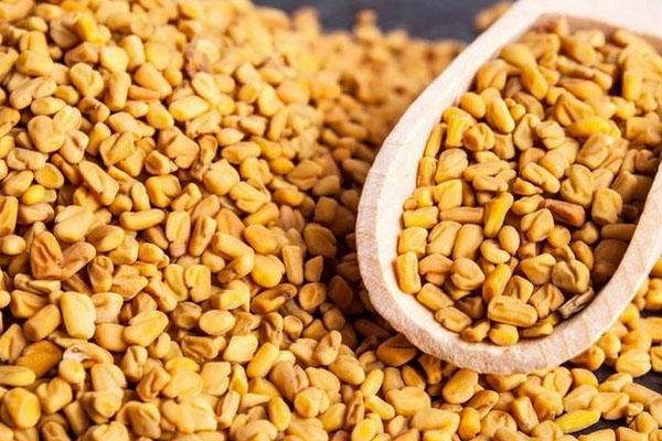 இந்த ஒரு பொருள் போதும் உங்களை ஆரோக்கியமாக வைத்திருக்க | This One Thing Is Enough To Keep You Healthy