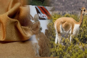 உலகில் மிகவும் விலையுயர்ந்த துணி எது தெரியுமா ! காரணம் இது தான்