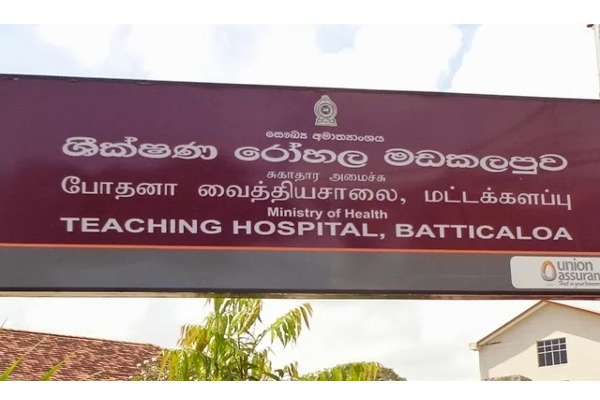 தென்னிலங்கையில் விபரிதம் ; மதுபோதையில் சேற்றுக் குழியில் மூழ்கி இருவர் பலி | Two People Died After Drowning Mud Duealcoholism