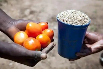 இலங்கையில் மீண்டும்  பண்டமாற்று முறை! தியாகம் செய்ய வேண்டிய நிலையில் இளைஞர்கள்