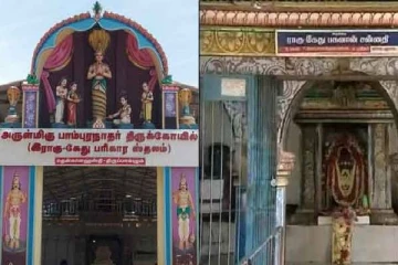 பாம்புகள் வந்து வழிபடும் அதிசய கோவில் - திருப்பாம்புரம் சென்றால் திருப்பம் நிச்சயம்
