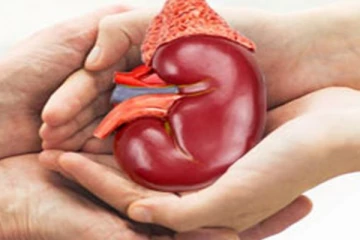 இத்தாலியில் உயிரிழந்த இலங்கையர்; குடும்பத்தினரின் நெகிழ்ச்சி செயல்