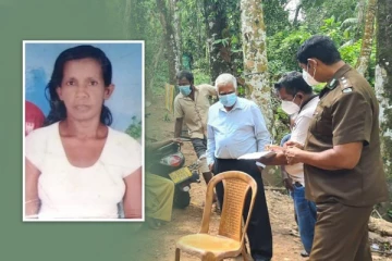 பெண்ணொருவருக்கு எமனாக மாறிய நரி