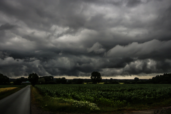 இன்று வானிலையில் ஏற்பட்டுள்ள மாற்றம் | The Change In The Weather Today