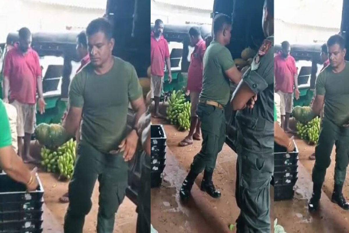 யாழில் வீதிகளில் மக்கள் இருக்க ... காணிகளில் பணம் அள்ளும் இராணுவத்தினர் ! | Military Engages Farming On People Lands In Jaffna யாழில் வீதிகளில் மக்கள் இருக்க ... காணிகளில் பணம் அள்ளும் இராணுவத்தினர் ! | Military Engages Farming On People Lands In Jaffna