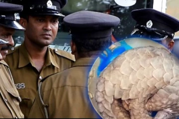 வீடு ஒன்றிற்குள் புகுந்த அரியவகை விலங்கு