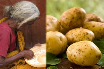 “உருளைக்கிழங்கினைத் தான் சாப்பிடுகின்றோம்”  இலங்கையிலிருந்து வந்த ஒரு தாயின் குமுறல்