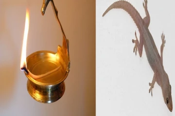 முன்னோர்கள் கவனமாக எதிர்கொள்ள சொன்ன 6 கெட்ட சகுனங்கள்