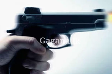 28ක් තුවාල ලැබු වෙඩිල්ල - දෙදෙනෙකු ජිවිතක්ෂයට. (විදෙස්)