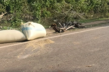 வவுனியா வடக்கில் காபெற் வீதிகளில் நெல் உலரவிடும் அவலம்(Photos)