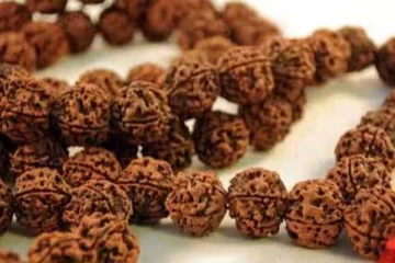 5 முக ருத்ராட்சத்தை பெண்கள் அணியலாமா?