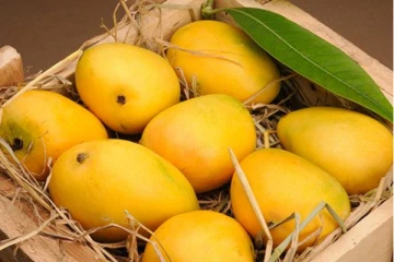 பாகிஸ்தான் பரிசாக கொடுத்த மாம்பழங்களை திருப்பி அனுப்பிய உலக நாடுகள்