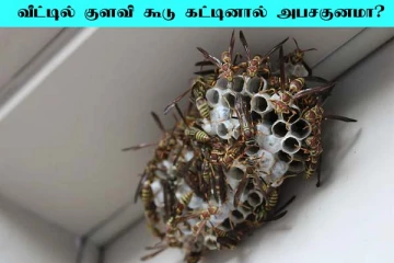 வீட்டில் குளவி கூடு கட்டினால் கெட்ட சகுனமா? உண்மை இதுதானாம்