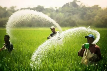 விவசாயிகளுக்கு மகிழ்ச்சி தகவல் : குறைவடையும் உரத்தின் விலை!