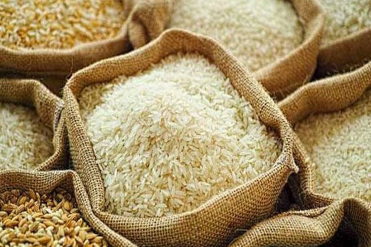 பசில் ராஜபக்சவுடனான கூட்டணியில் நெல் சந்தைப்படுத்தலில் மோசடி - விலை போன அரசாங்கம் | Fraud In Rice Marketing