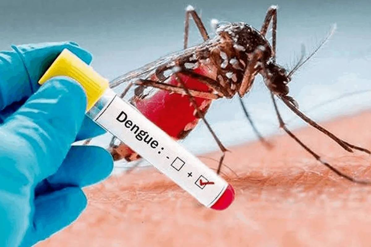 நாட்டில் டெங்கு மரணங்களின் எண்ணிக்கை 78 ஆக அதிகரிப்பு | Number Of Dengue Deaths Rises To 78 நாட்டில் டெங்கு மரணங்களின் எண்ணிக்கை 78 ஆக அதிகரிப்பு | Number Of Dengue Deaths Rises To 78
