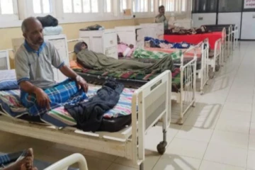 வீதியால் சென்றவர்களை கொட்டிய குளவி; மூவர் வைத்தியசாலையில் அனுமதி