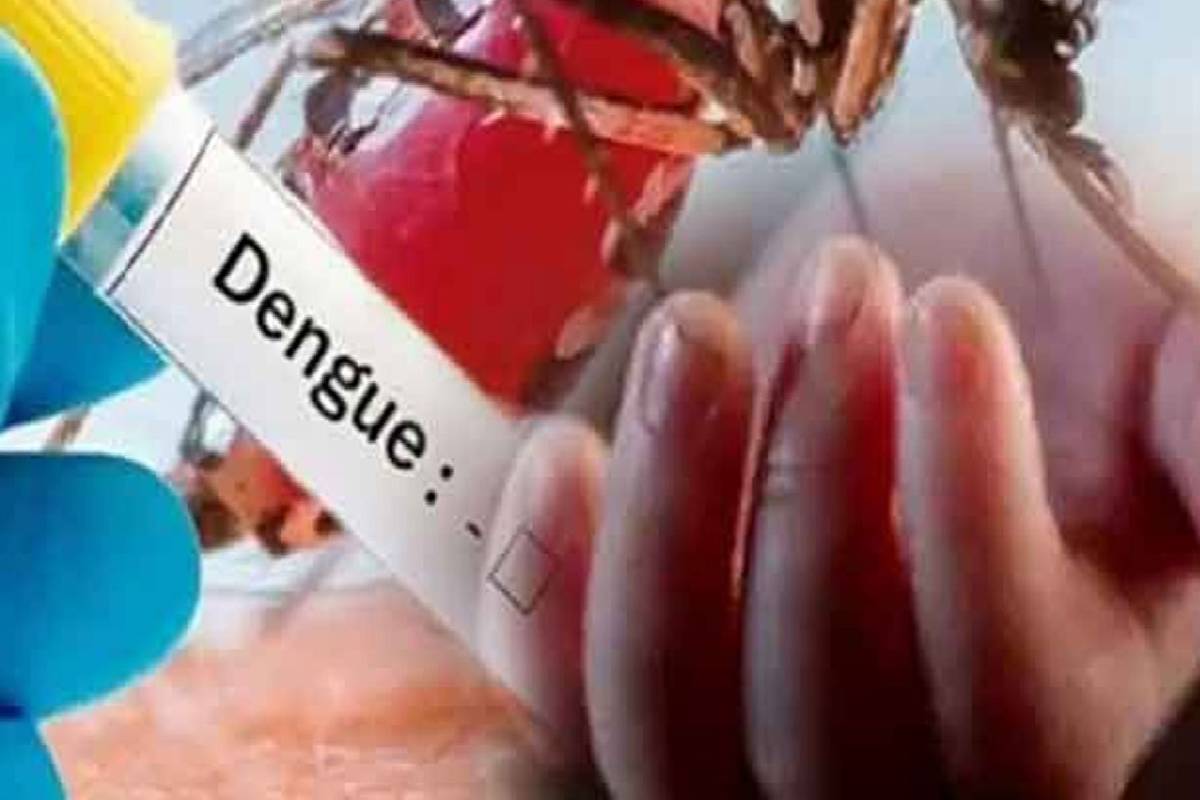 நாட்டில் டெங்கு மரணங்களின் எண்ணிக்கையில் உயர்வு ; அதிகரிக்கும் அபாயம் | Dengue Deaths Rise Sharply Across Sri Lanka