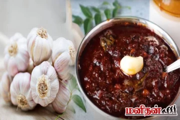 poondu thokku : ஒட்டுமொத்த ஆரோக்கிய பிரச்சினைகளுக்கும் தீர்வாகும் பூண்டு தொக்கு!