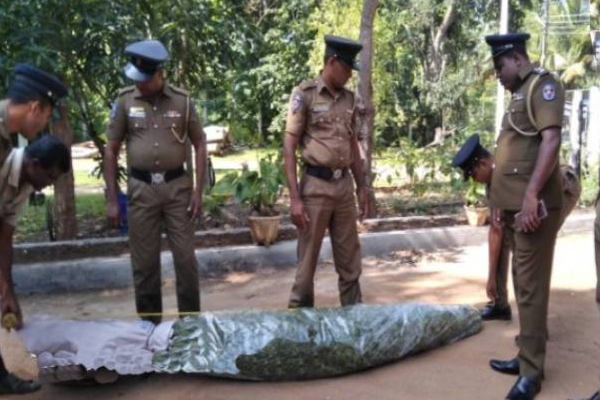 சட்டவிரோதமான செயலில் ஈடுபட்ட நபர்: பொலிஸார் அதிரடி நடவடிக்கை | Puttalam Man Grew Cannabis Garden Arrested Police