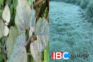 இலங்கையின் சிறிய இங்கிலாந்தில் இன்று ஏற்பட்டமாற்றம்